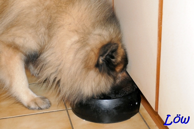 11.12.2024 - Dwix lässt sich schmecken